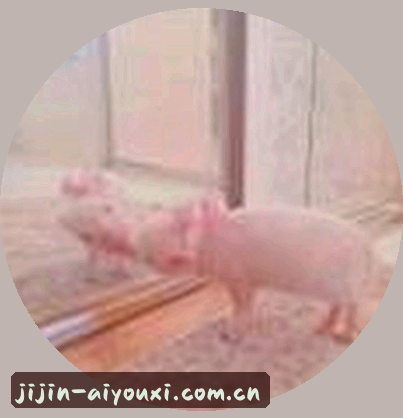 陈昊